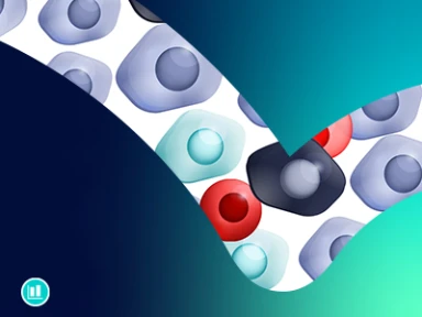 Autoimmunity in Type 1 Diabetes: A Pathophysiology Snapshot