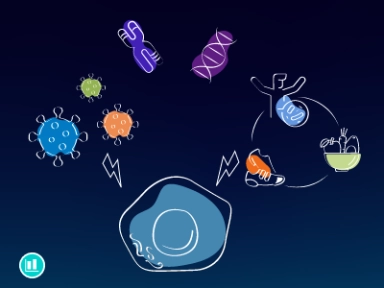 Exploring the Etiology of Autoimmune Type 1 Diabetes