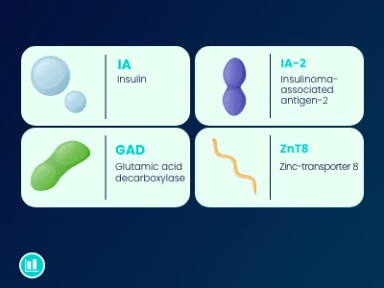 Monitoring Individuals with T1D Islet Autoantibodies: Consensus Guidance 